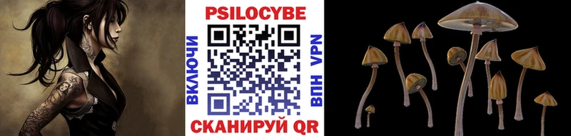 Купить закладки Ковылкино Галлюциногенные грибы Psilocybine cubensis